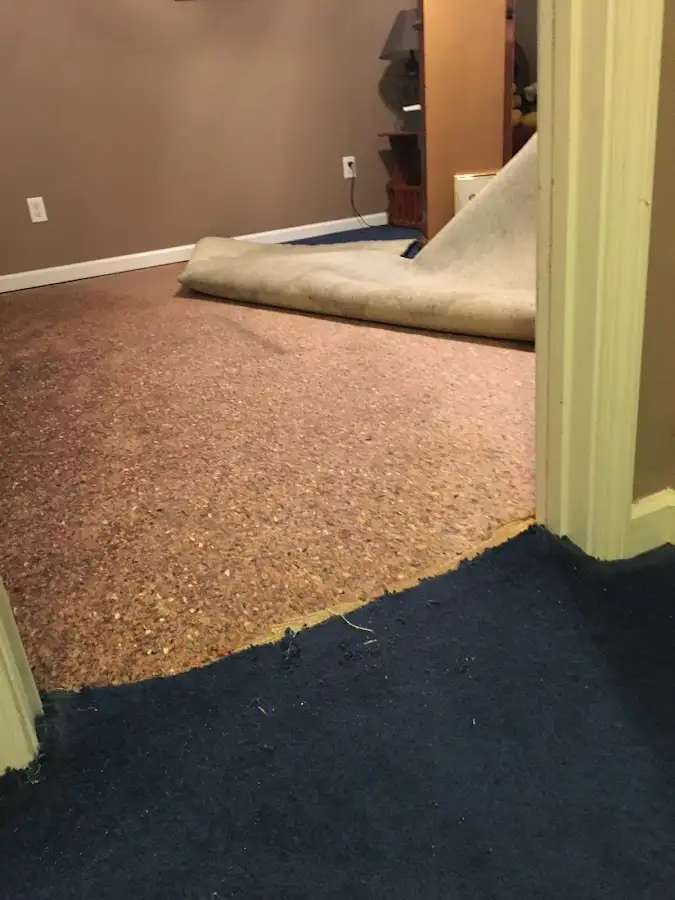 Carpet pad removal revealing water damage during Water Mitigation Services in Haddon