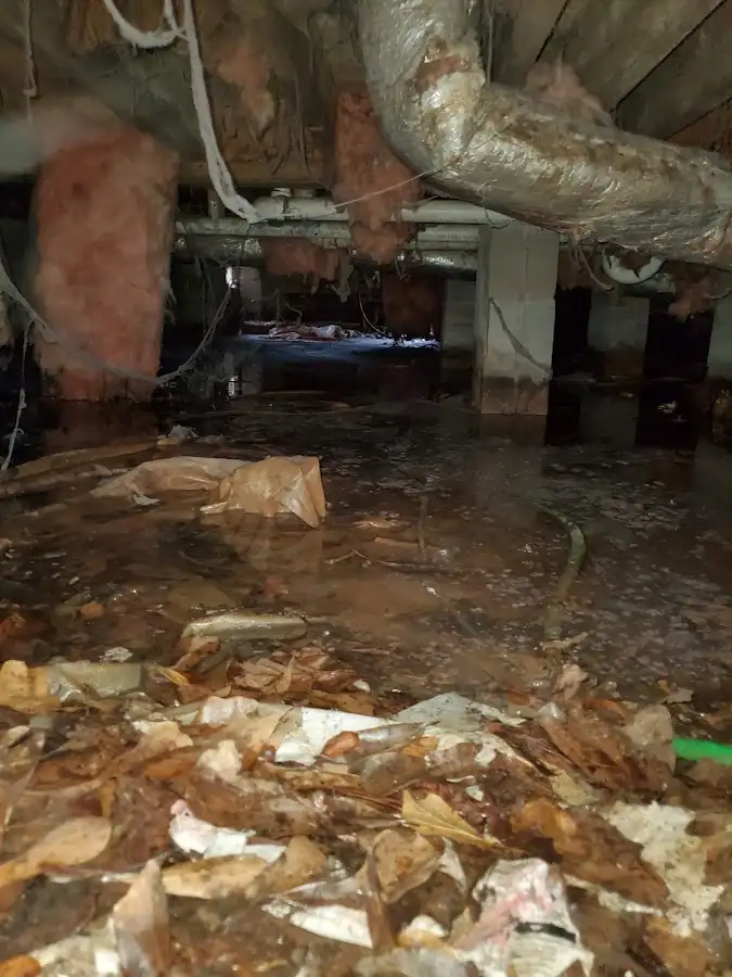 Crawl space flood assessment for Leak Detection & Repair in Haddon